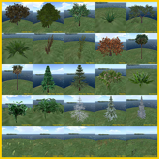 Linden_plants_1a.jpg